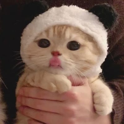 Lestari Indah avatar